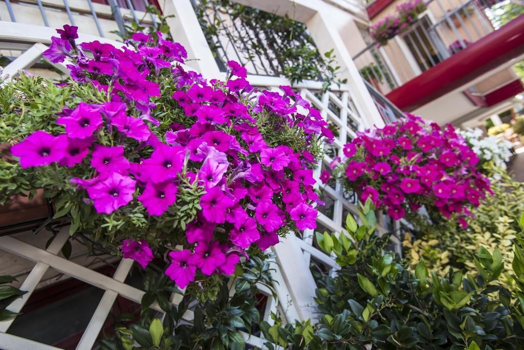 Hotel Sofia Lido di Jesolo Ngoại thất bức ảnh
